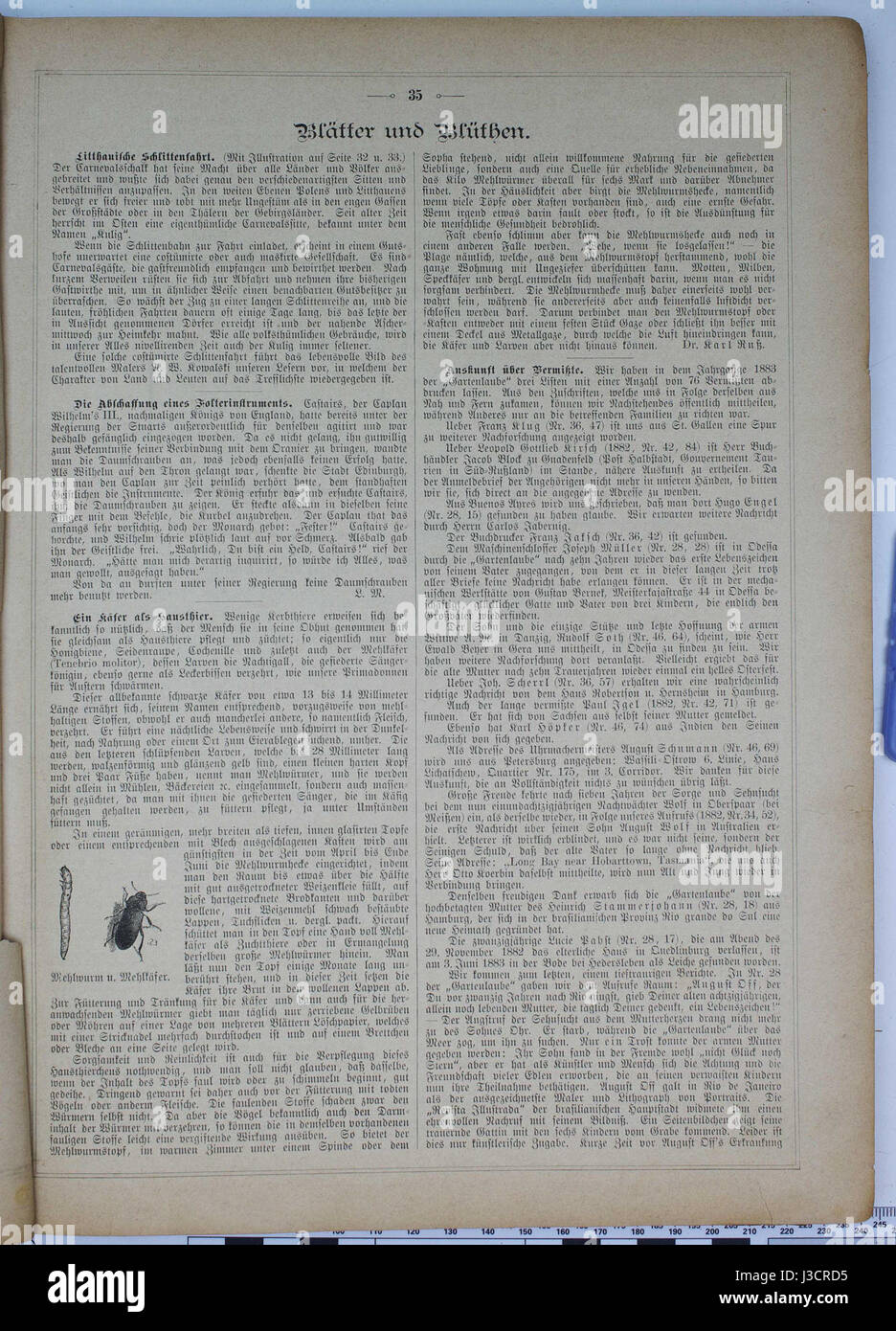 Die Gartenlaube, una popolare rivista illustrata tedesca, fornisce un'istantanea della cultura europea del XIX secolo, con un numero del 1884 che mostra argomenti culturali e sociali dell'epoca. Foto Stock