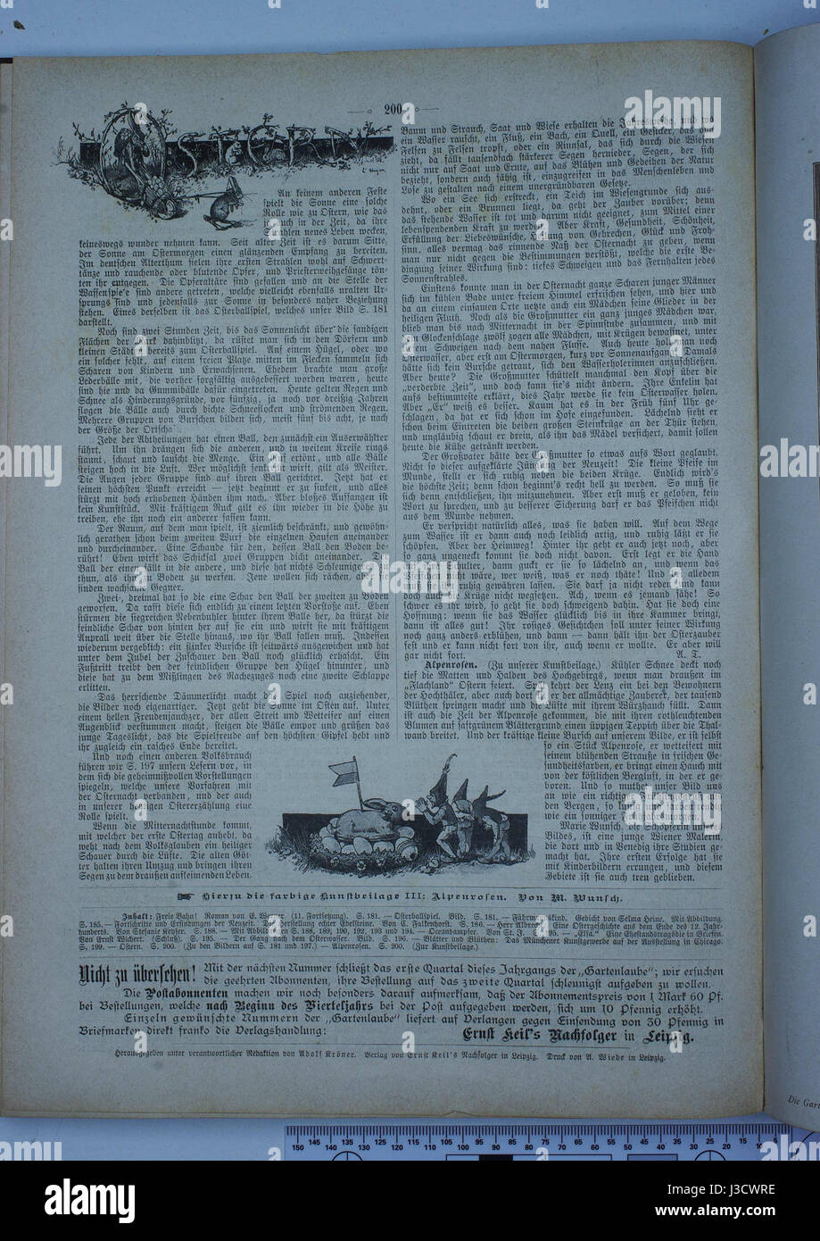 Die Gartenlaube è stata una rivista letteraria tedesca del XIX secolo e l'edizione del 1893 (numero 200) contiene vari contributi culturali e letterari di quell'epoca. Foto Stock