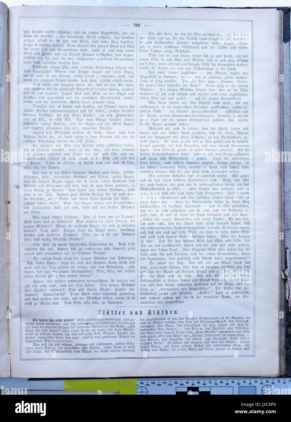 *Die Gartenlaube* è stato un settimanale illustrato tedesco pubblicato dal 1853 al 1944. Il numero del 1868 (703) presenta un mix di argomenti sociali, culturali e letterari, servendo come esempio chiave dei media di stampa europei del XIX secolo. Foto Stock