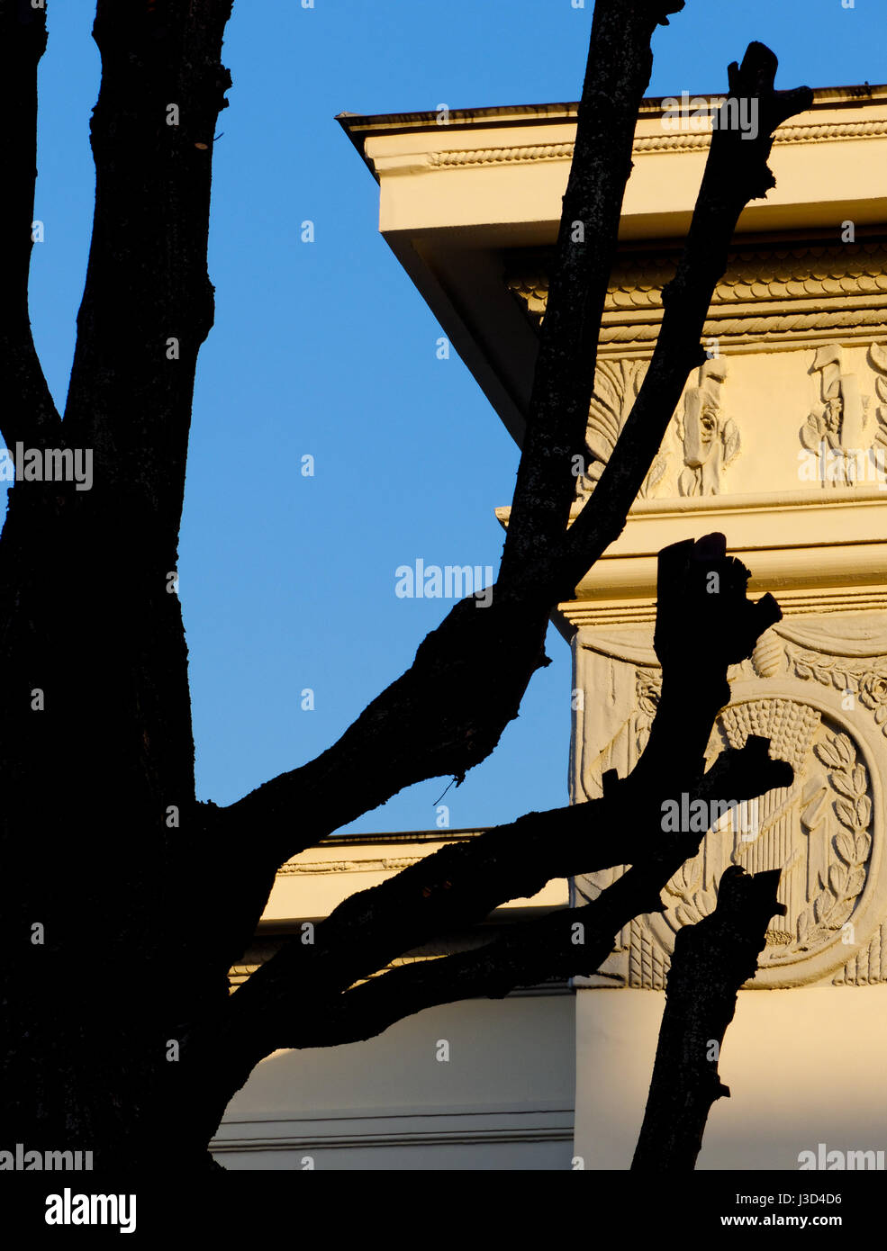 Gli sfondi e texture: albero nero silhouette, parte dell'edificio esterno e cielo blu chiaro a sfondo Foto Stock