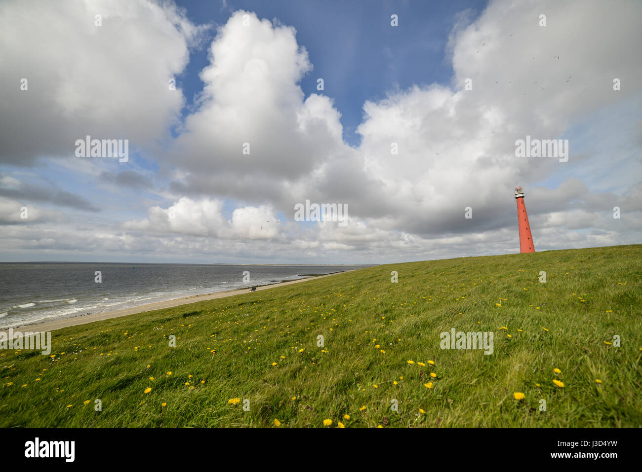 Den Helder in Olanda, vista costiera Foto Stock