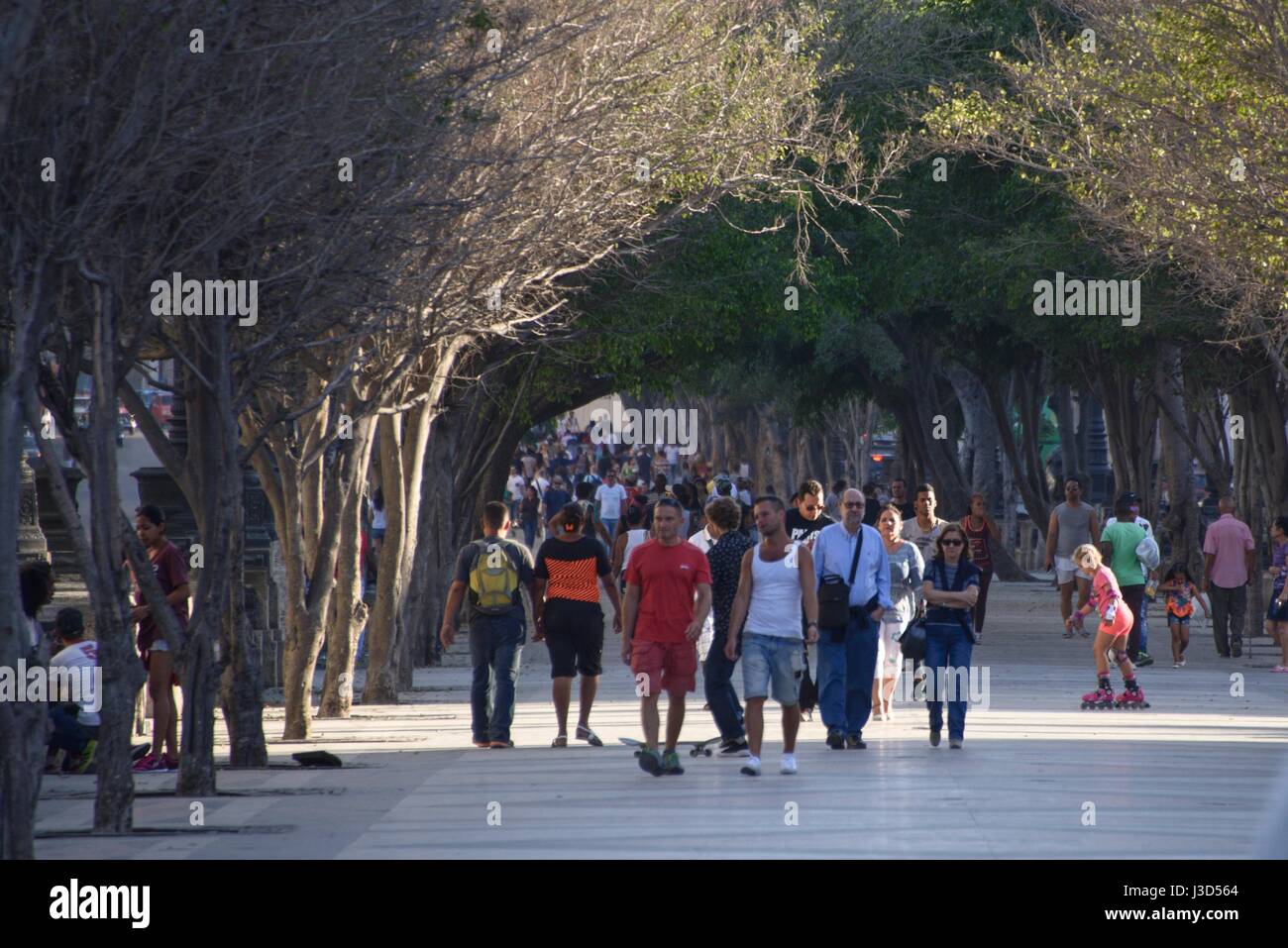 L'Avana, Cuba, la città che è viva con suoni, colori e persone ma le lotte con le restrizioni al commercio del paese è sotto dall America. Foto Stock