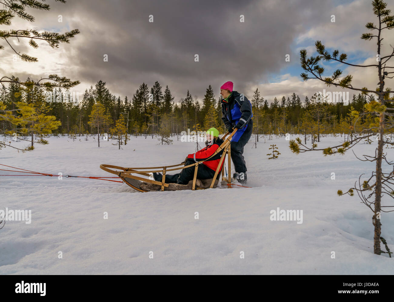 Tourist godendo di una slitta trainata da cani avventura, Lapponia, Finlandia Foto Stock
