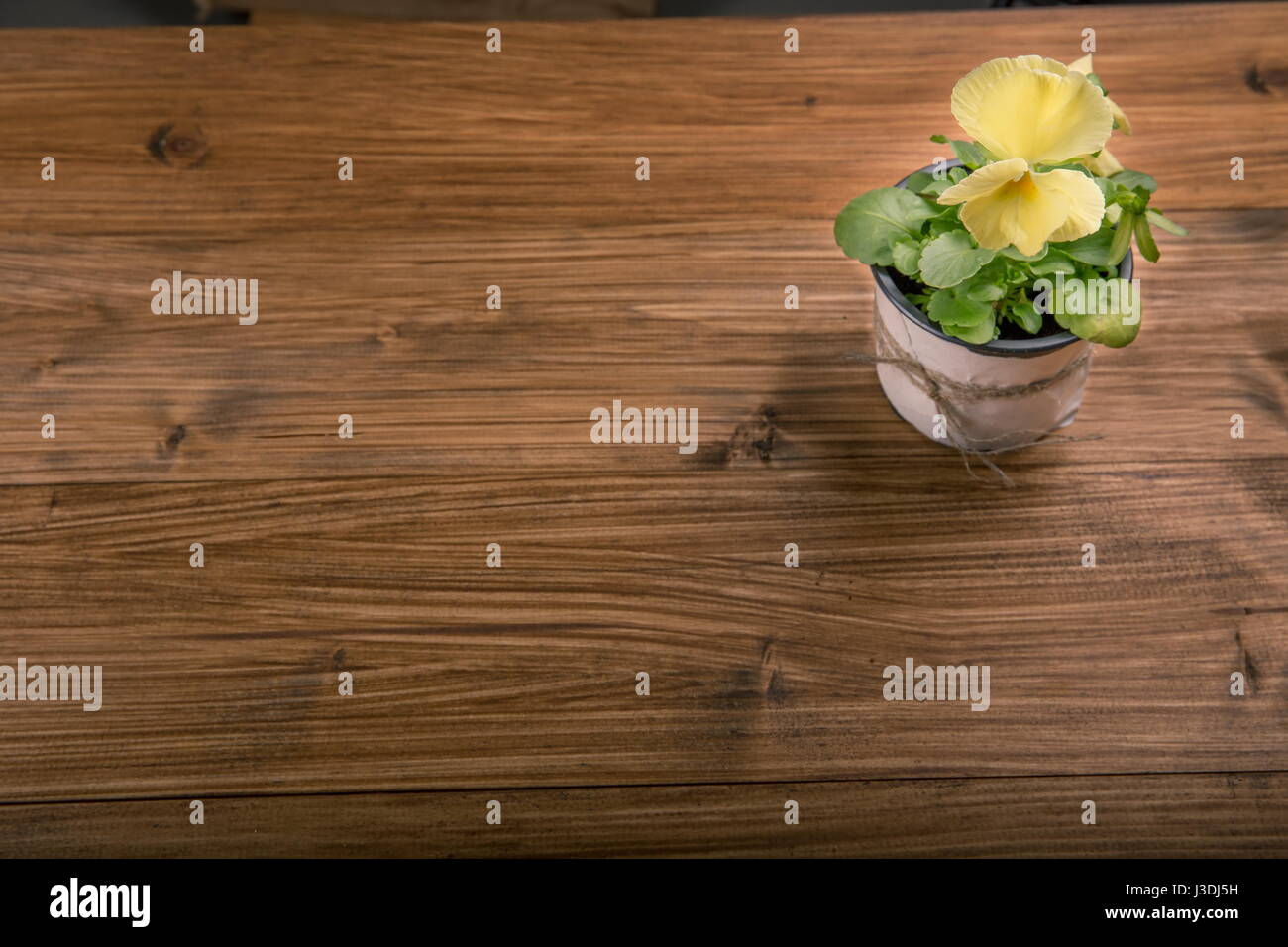 Viola pansy fiori su sfondo di legno Foto Stock