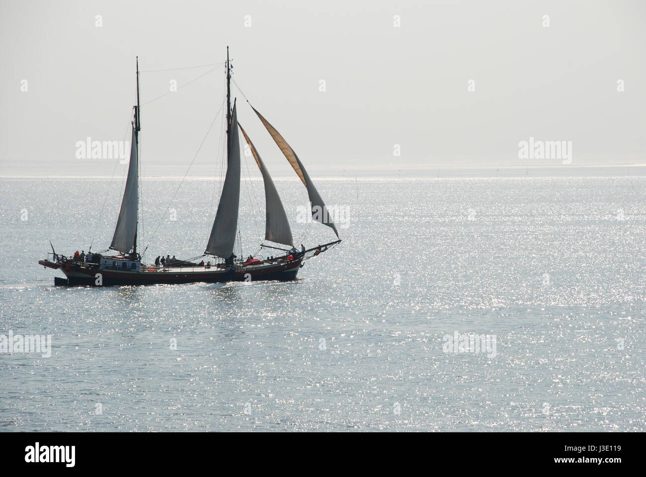 Olandese tradizionale barca a vela a Terschelling, isole Wadden, nel nord dei Paesi Bassi Foto Stock