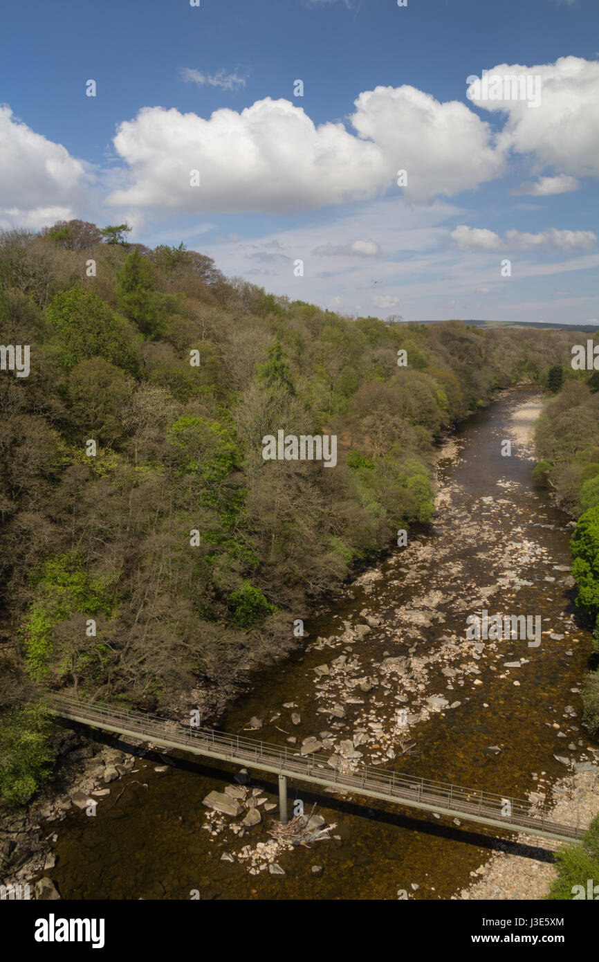 Passerella sul fiume Tyne Sud Foto Stock