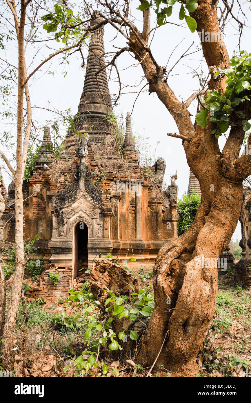 Uno stupa incorniciato da una vegetazione di Shwe Inn Thein Pagoda, Myanmar Foto Stock