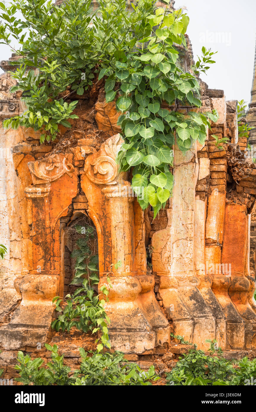 Shwe Inn Thein stupa ricoperta dalla shiny foglie verdi, Myanmar Foto Stock