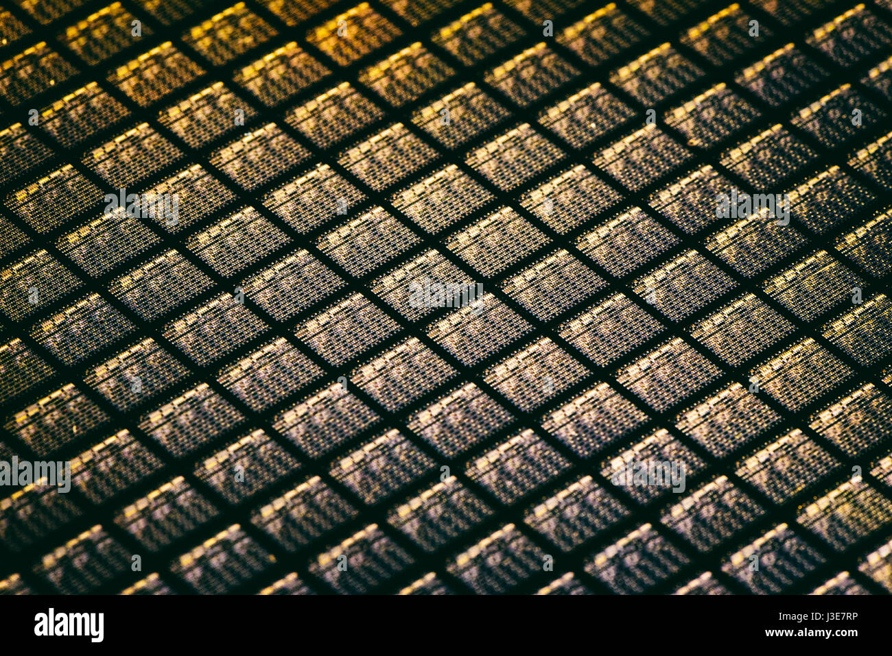 Dettaglio del wafer di silicio contenente Microchip Foto Stock