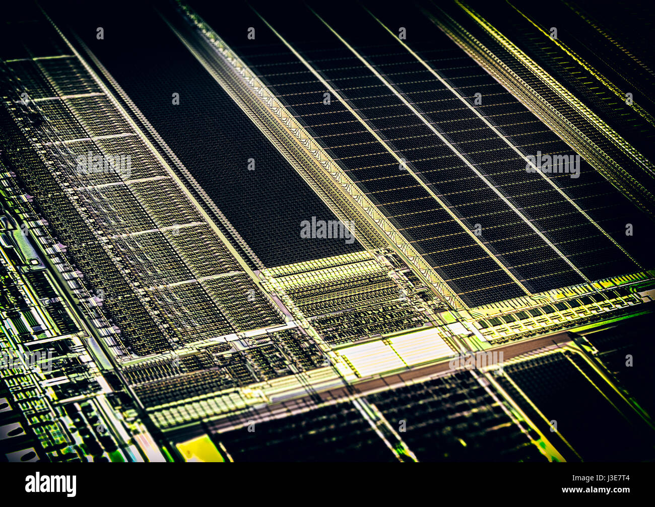 Dettaglio del wafer di silicio contenente Microchip Foto Stock