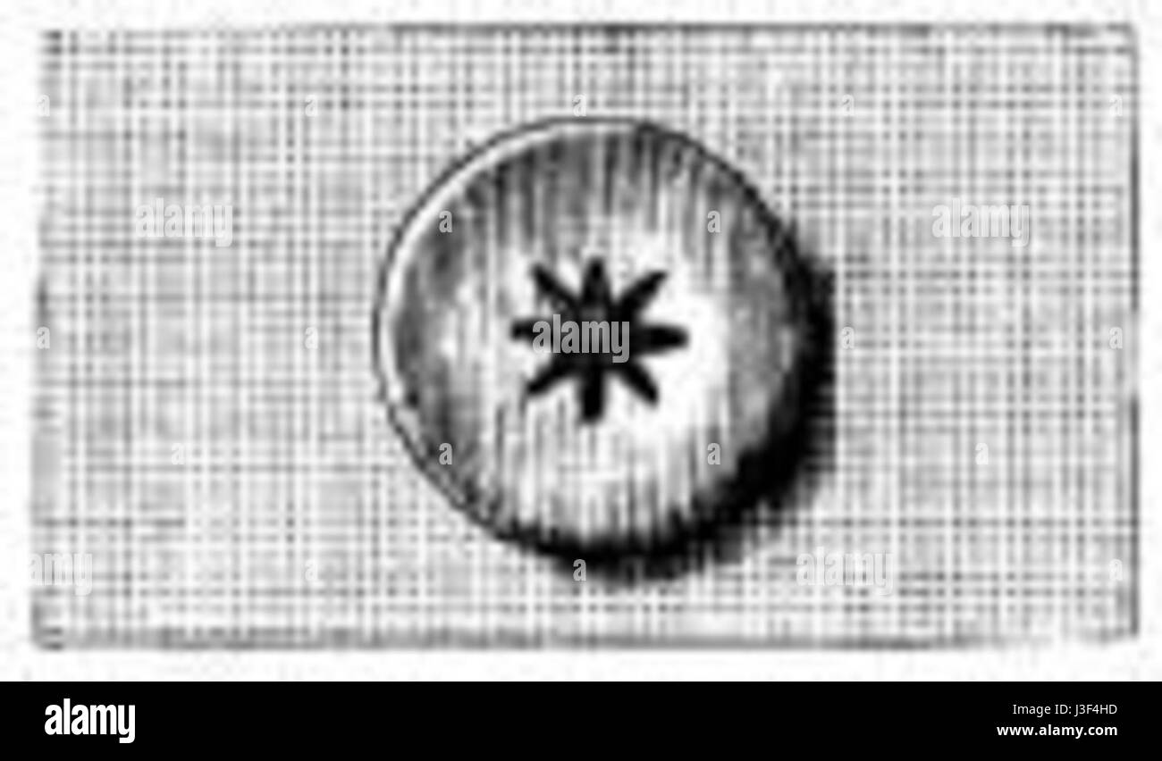 Fig. 31. La cucitura su pulsanti di lino Foto Stock