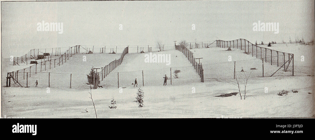 Fox Farm, intorno al 1904, si riferisce a un'azienda agricola o rurale, che probabilmente coinvolge l'agricoltura o l'allevamento degli animali. L'anno indica l'inizio del XX secolo, riflettendo la vita agricola in quel periodo. Foto Stock