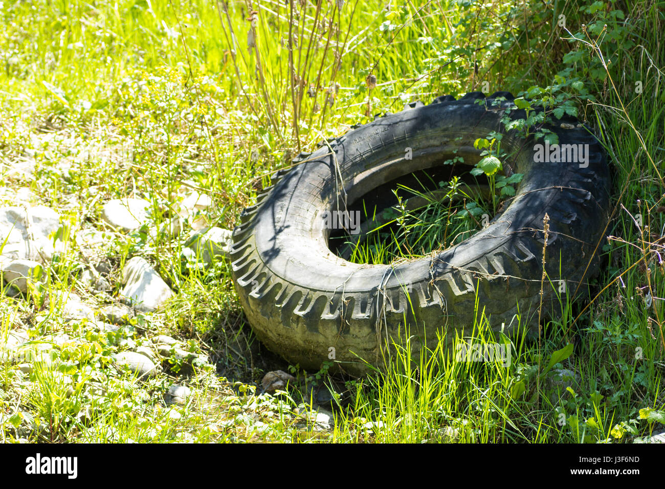 Vecchio e pneumatici usurati sono scartati nella fauna selvatica. Foto Stock