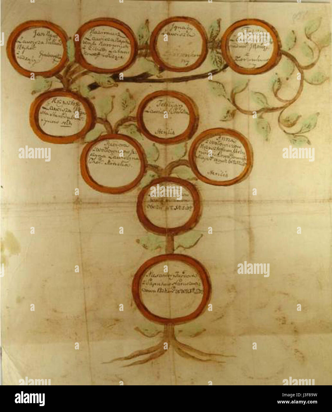 Albero genealogico della famiglia Zawisza Foto Stock