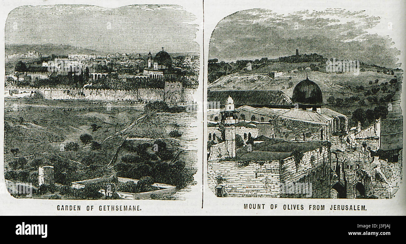 La raffigurazione del Giardino del Getsemani sul Monte degli Ulivi del 1870 di Ainsworth fornisce una visione storica di questo significativo luogo biblico a Gerusalemme, noto per la sua importanza religiosa nel cristianesimo. Foto Stock