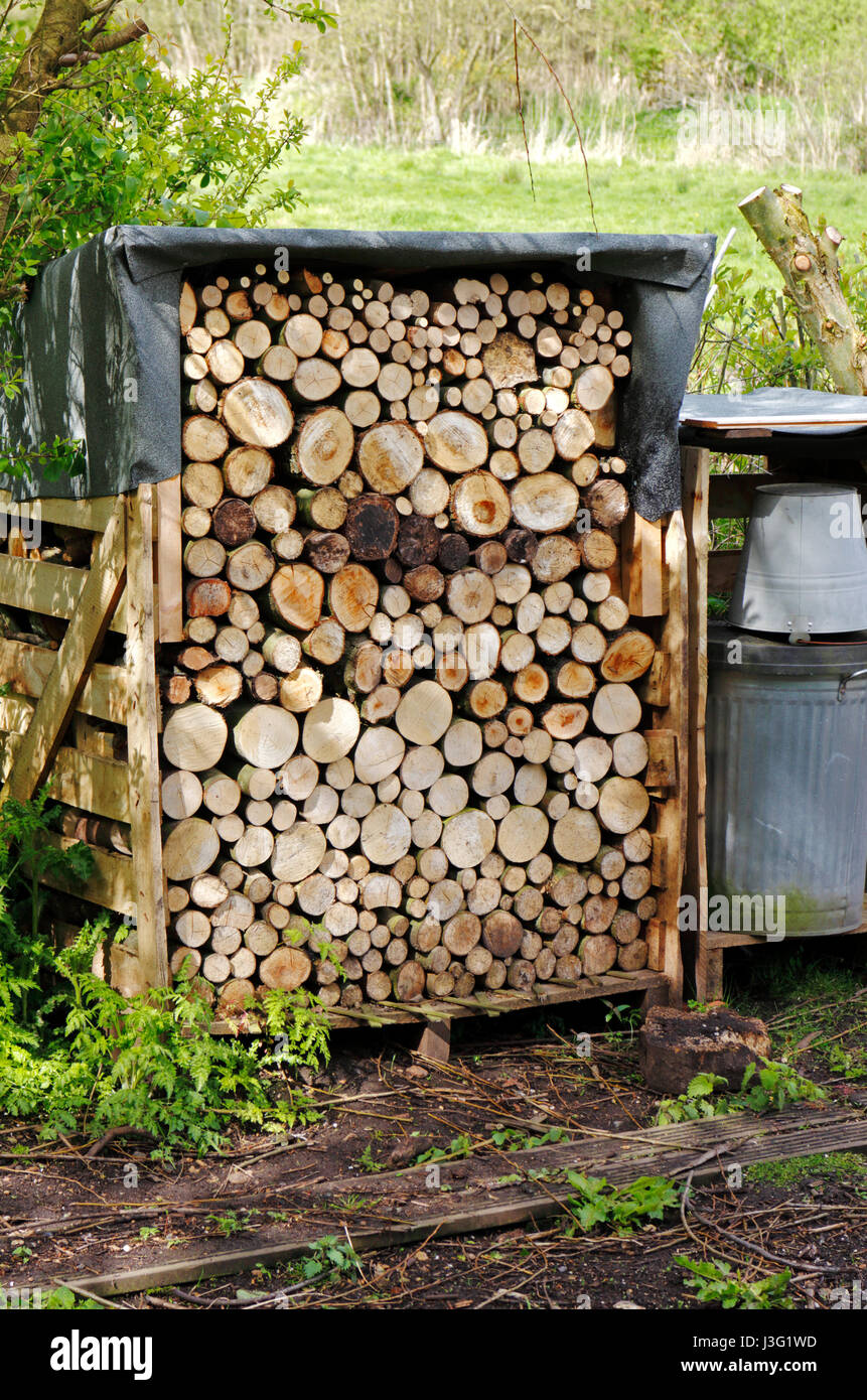 Un registro di legno store in un paese giardino sul retro in Norfolk, Inghilterra, Regno Unito. Foto Stock