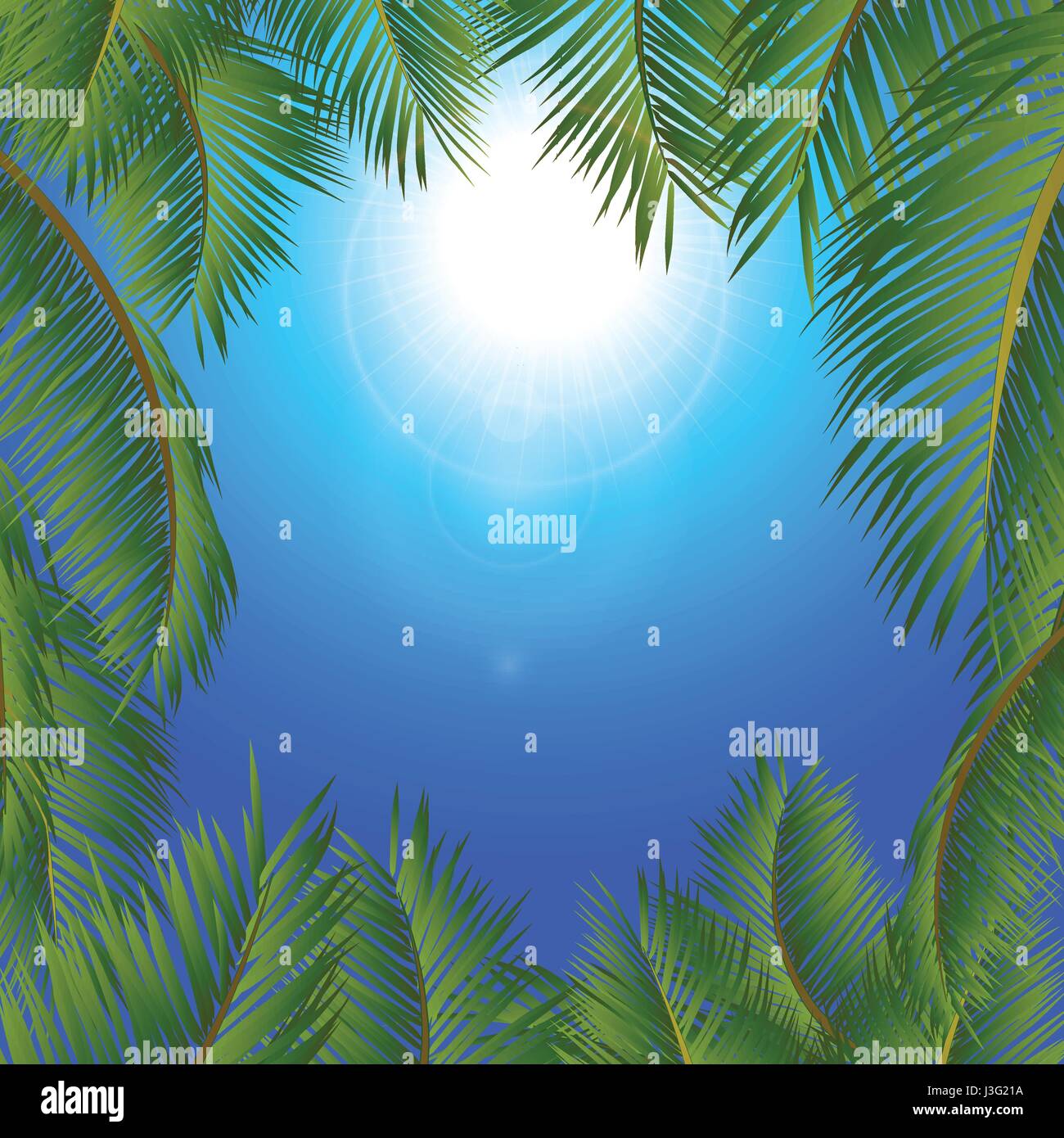 Alberi di palma tropicali cornice che circonda un blu cielo soleggiato Illustrazione Vettoriale