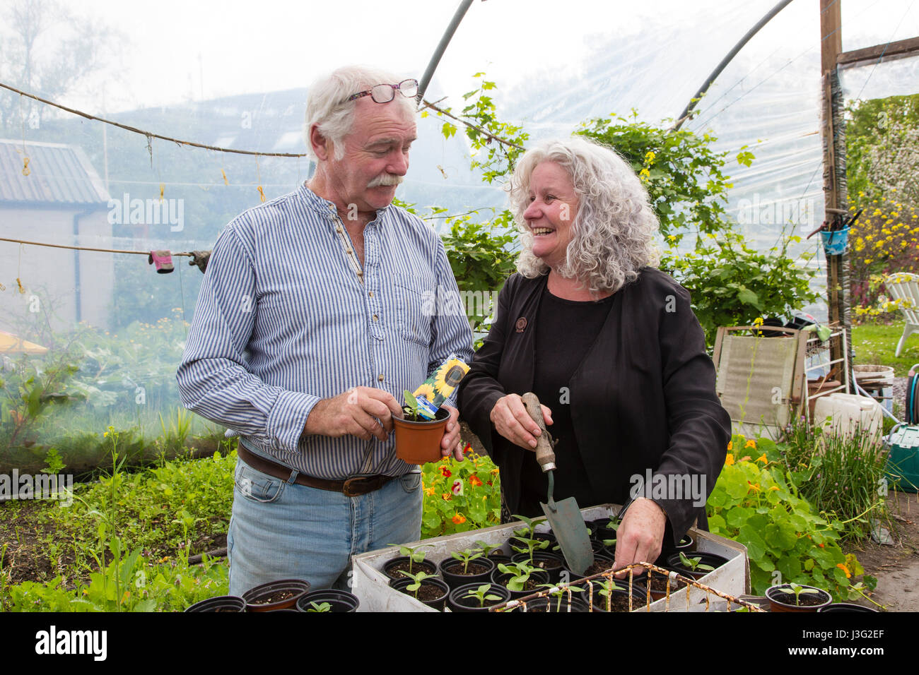 Coppia di anziani Felici insieme Foto Stock