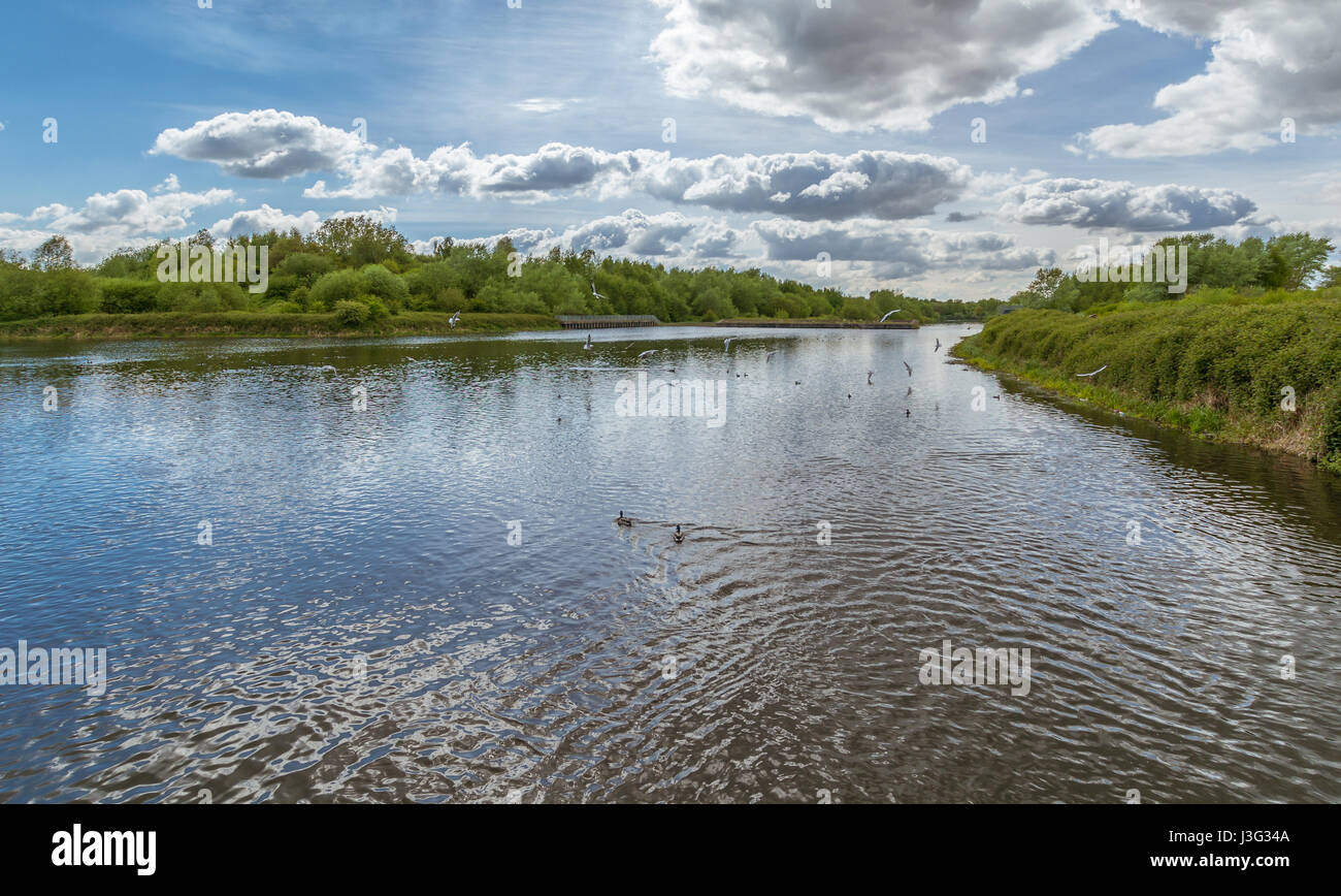 Una vista di Woolston occhi in Warrington Foto Stock