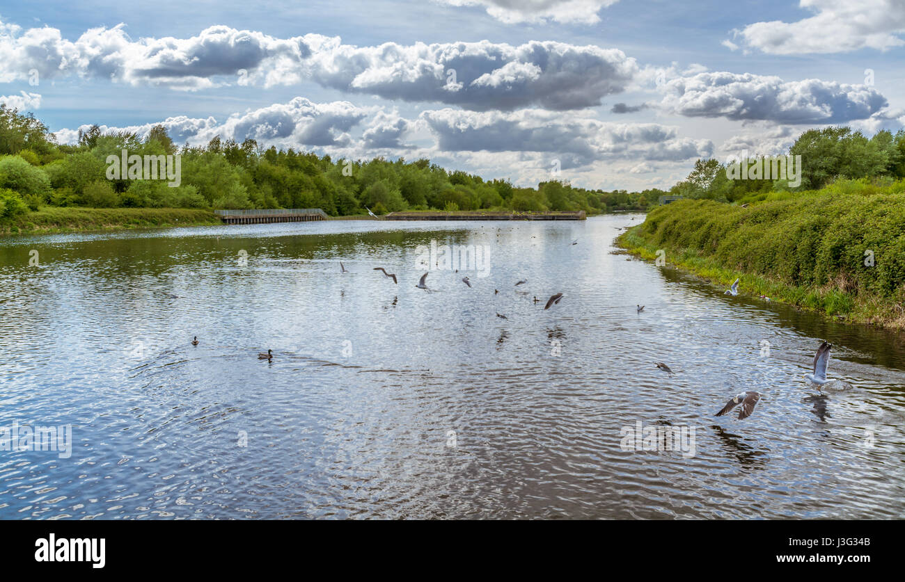 Una vista di Woolston occhi in Warrington Foto Stock