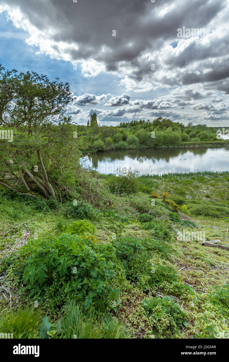 Una vista di Woolston occhi in Warrington Foto Stock