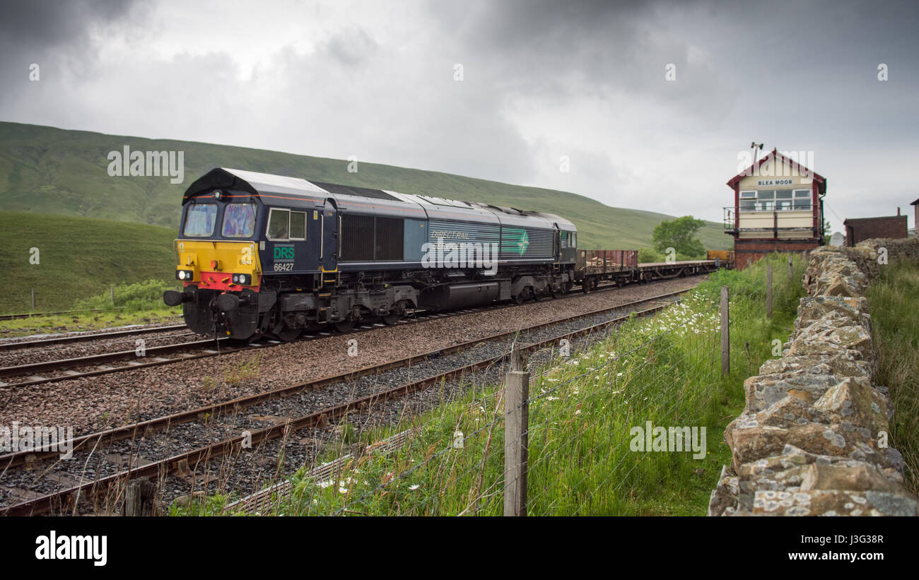 Una classe 66 pesanti diesel merci locomotore ferroviario tirando un treno attraverso Blear Moor vertice sul Settle-Castle linea ferroviaria. Foto Stock