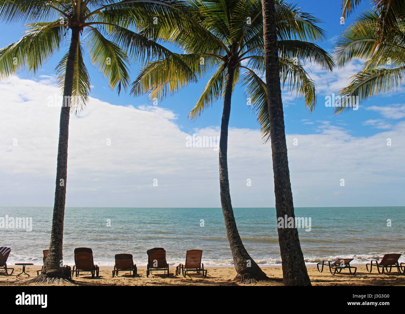 Idilliaco Palm Cove via Cairns in Australia presenta una natura incontaminata e per niente affollata spiaggia scena con cielo azzurro e mare calmo e agitando delicatamente le palme Foto Stock