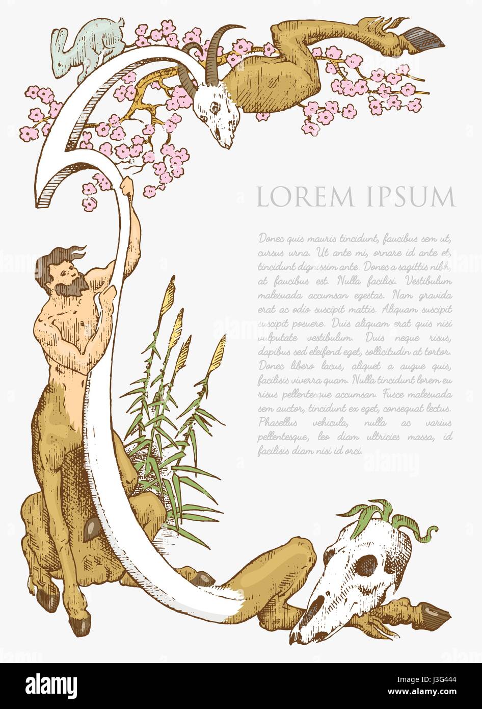 Disegnato a mano o medievale cornice antica decorazione con teschi il coniglio e il centauro tenendolo vintage inciso, mitologia greca confine per il testo Illustrazione Vettoriale