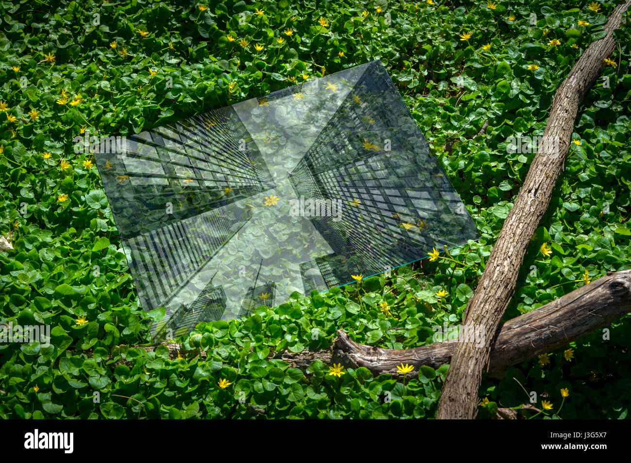 Abstract la deforestazione concetto mostra città della riflessione in una foresta Foto Stock