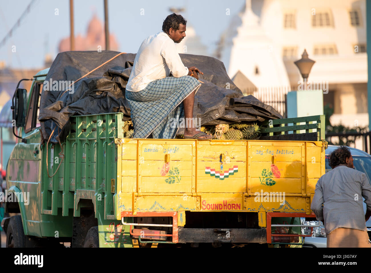 Uomo a guardia del carico di un carrello di trasporto ananassi in Kanyakumari, India Foto Stock