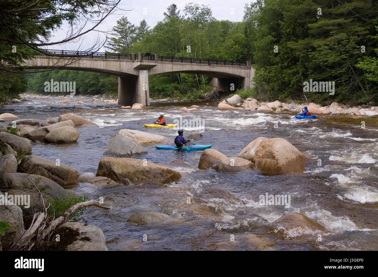 Un fiume infuria a Lincoln Woods - White Mountains National Forest, Lincoln, New Hampshire, STATI UNITI D'AMERICA Foto Stock