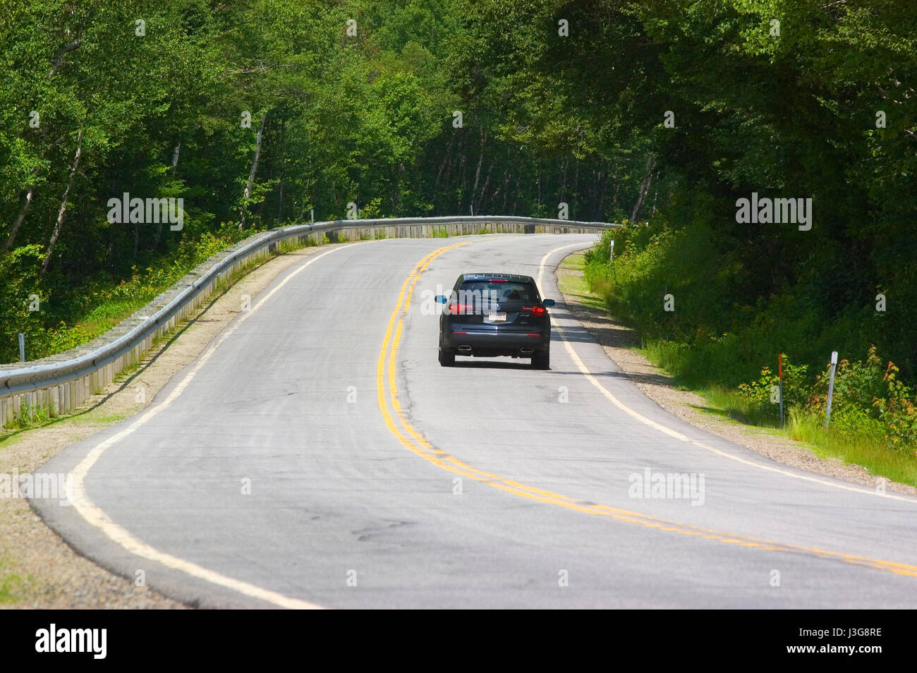 Lungo l'autostrada Kancamangus nelle White Mountains National Forest, New Hampshire, STATI UNITI D'AMERICA Foto Stock