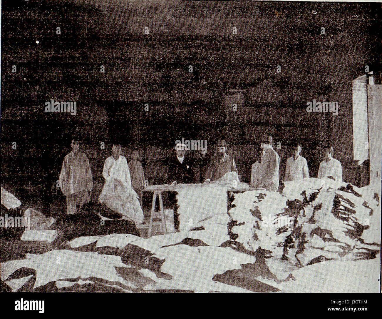 Pelle pelliccia magazzino a Tientsin, Cina (c 1900) Foto Stock