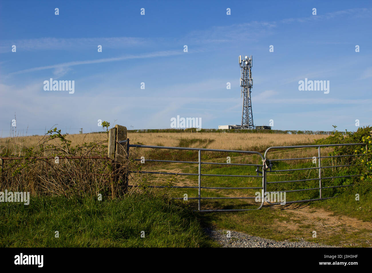 Un tipico della radio e della rete telefonica mobile telecommunications tower situare in terreni agricoli vicino Groomsport nella contea di Down, Irlanda del Nord fa un impres Foto Stock