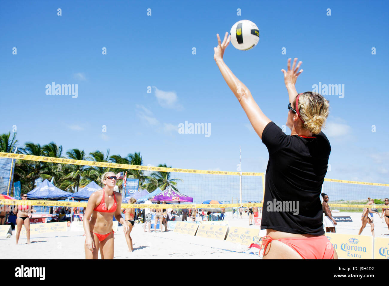 Miami Beach Florida, Lummus Park, gara di Beach volley, pratica, riscaldamento, donna donna donne, palla, bikini, sabbia, rete, sport, atleta, fitness, abbronzatura, su Foto Stock
