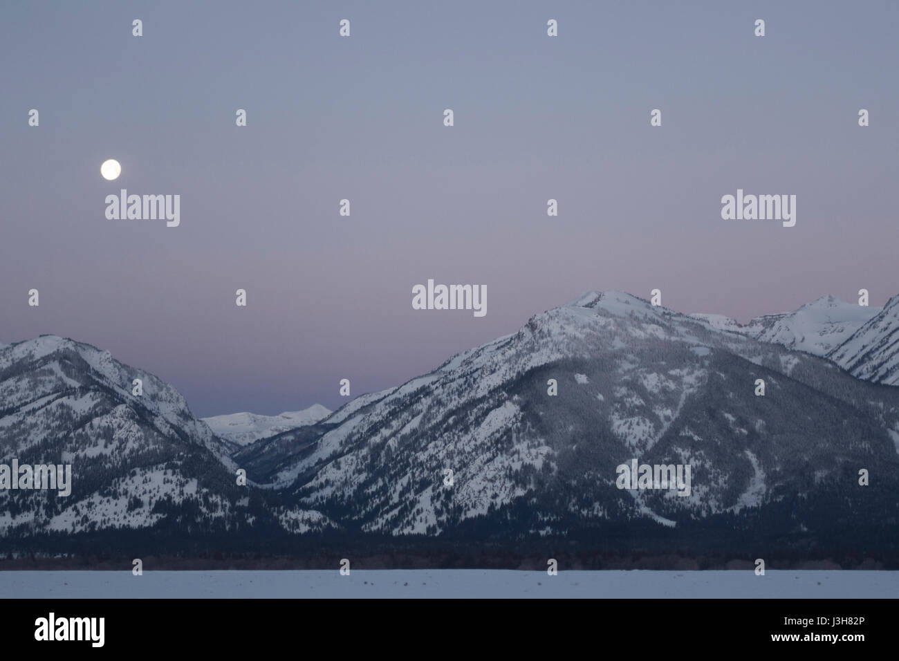 Lo spuntar del giorno con il calare della luna al di sopra della gamma Teton, viola cielo sopra montagne coperte di neve, colline vicino a Jackson Hole, Wyoming USA Foto Stock
