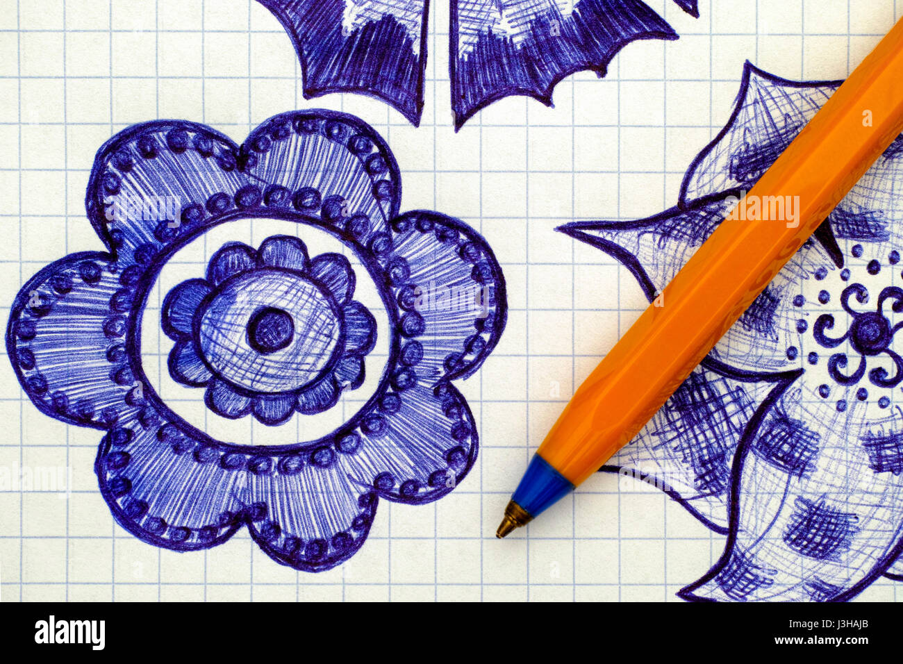 Close-up di disegnati a mano fiore sul foglio di carta a scacchi con la penna. Doodle stile. Foto Stock