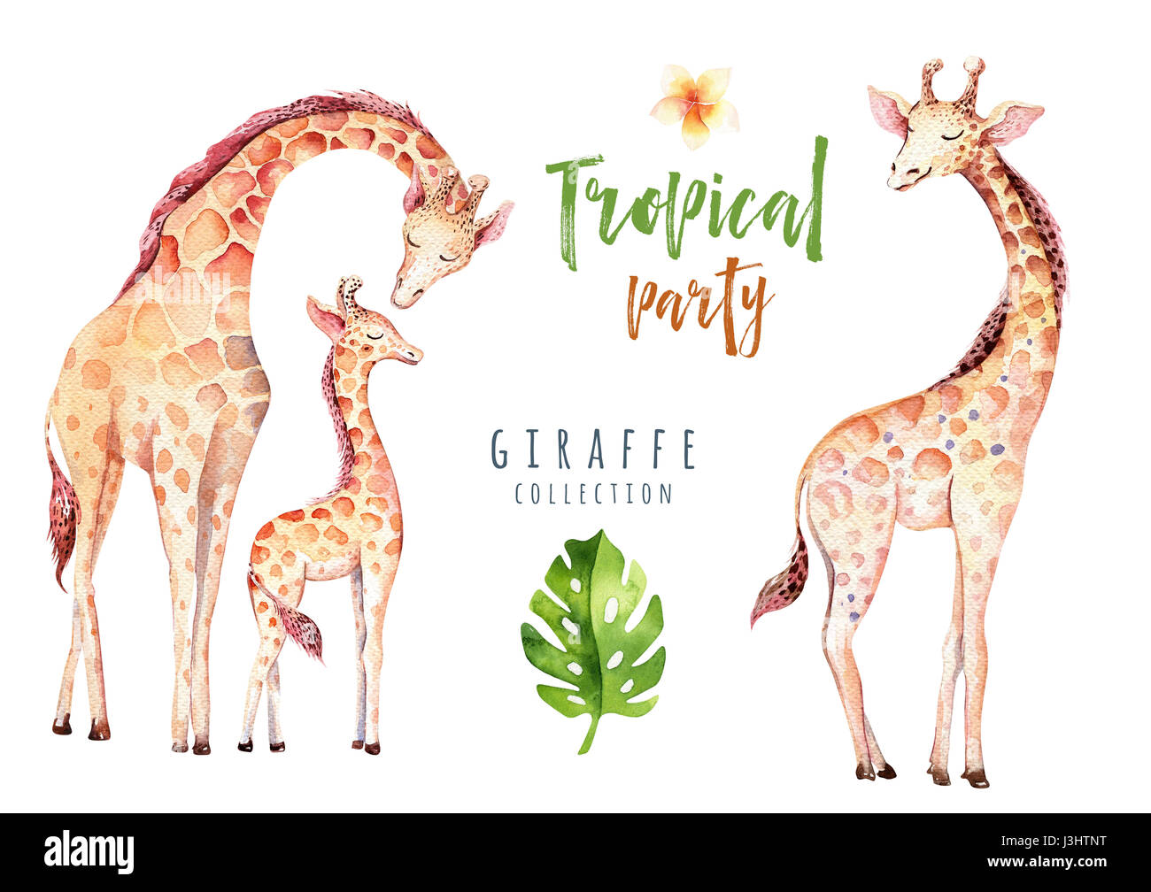 Disegnata a mano acquerelli di piante tropicali e giraffe. Esotiche di foglie di palma, albero della giungla, brasile tropic elementi di botanica e scimmie. Perfetto per tessuto Foto Stock