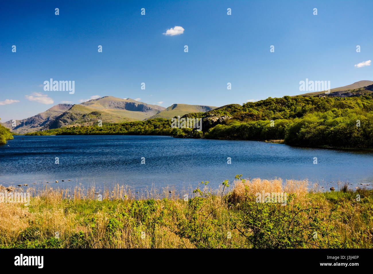 Vista di Snowdon con culle Goch (rosso Pettine) sulla sinistra, Carnedd Ugain; Snowdon vertice e Moel Cynghorion alla sua destra con Llyn Padarn nel forgroun Foto Stock