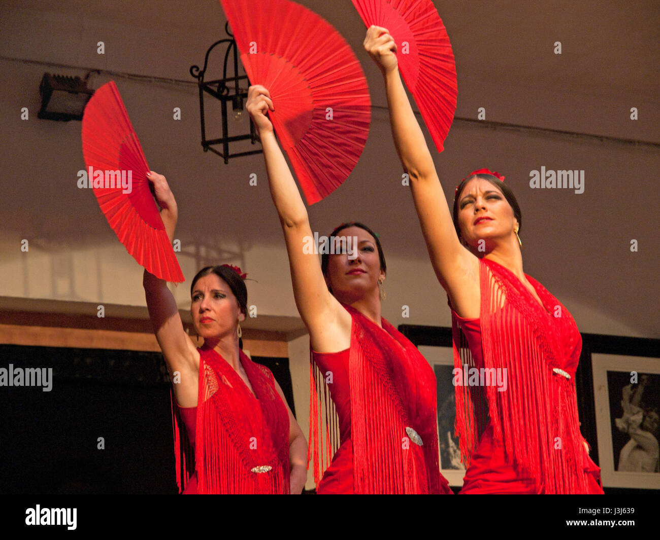 A ballare Flamenco a Cordoba, Spagna Foto Stock