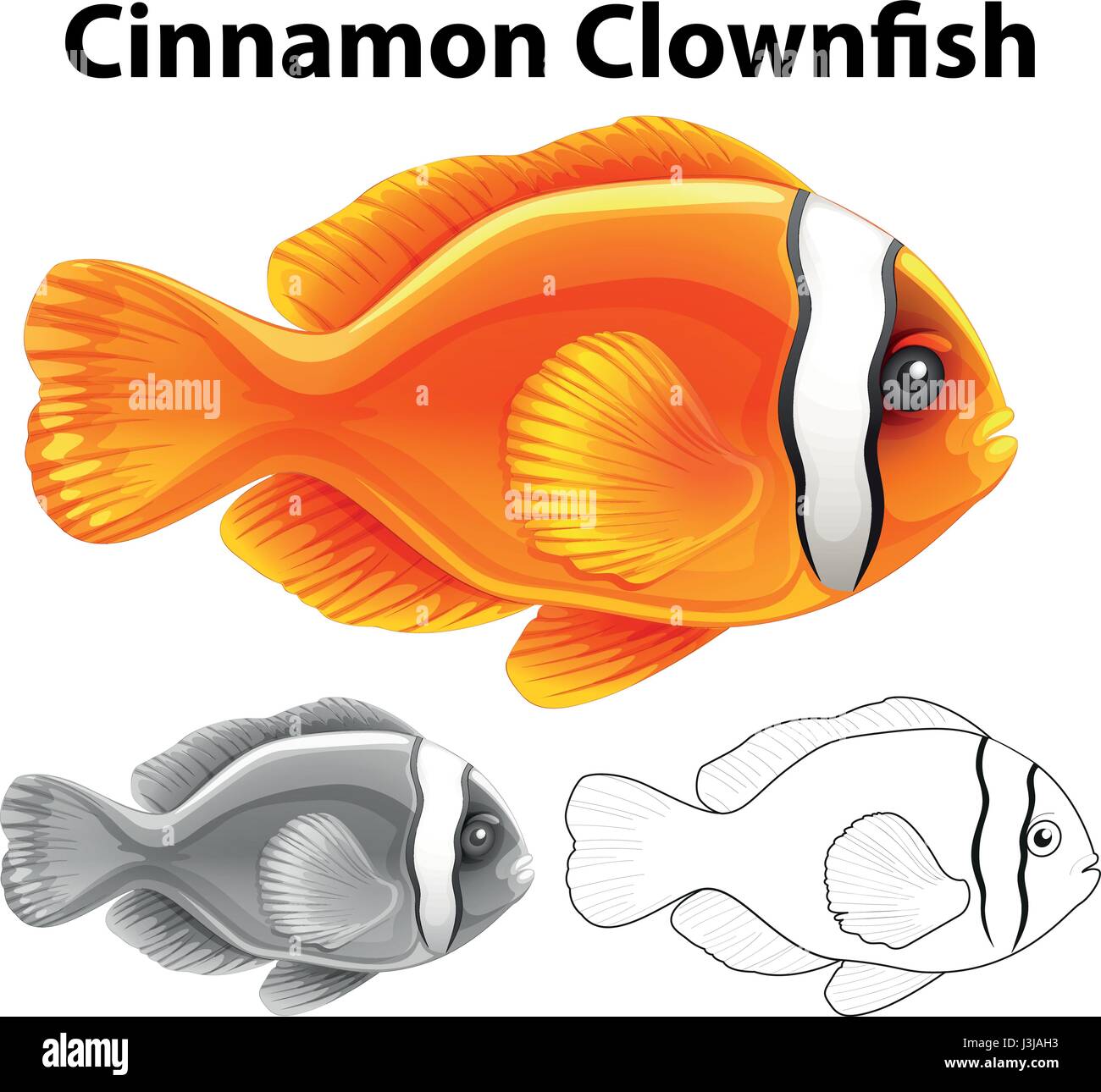 Doodle carattere per la cannella clownfish illustrazione Illustrazione Vettoriale