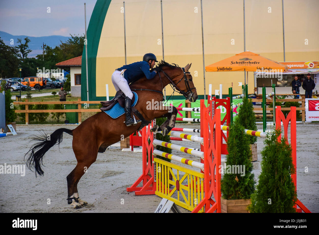 Equitazione World Cup, Bozhurishte, Sofia, Bulgaria Foto Stock