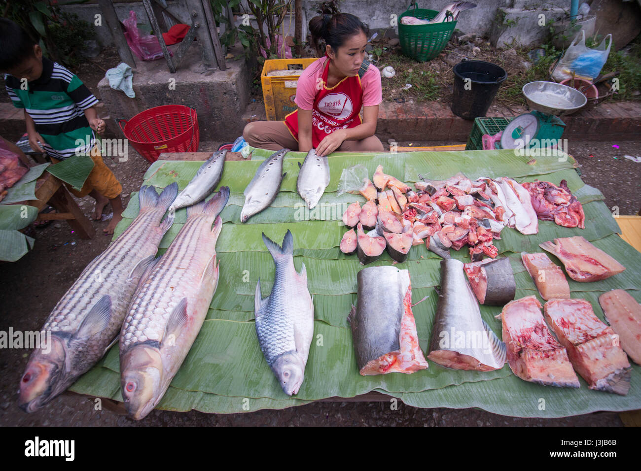 Fresco pesce del Mekong al mercato Fodd nella città di Luang Prabang nel nord del Laos in Southeastasia. Foto Stock