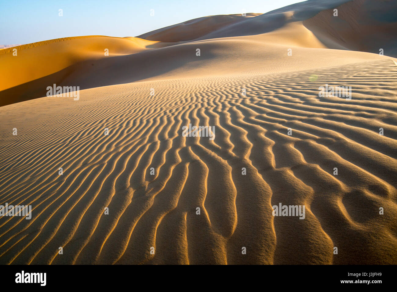 Liwa Oasis, Abu Dhabi , Emirati Arabi Uniti -, il vasto deserto paesaggio sparsi con ondeggiano dune di sabbia La Empty Quarter (Rub' al Khali) di ar Foto Stock