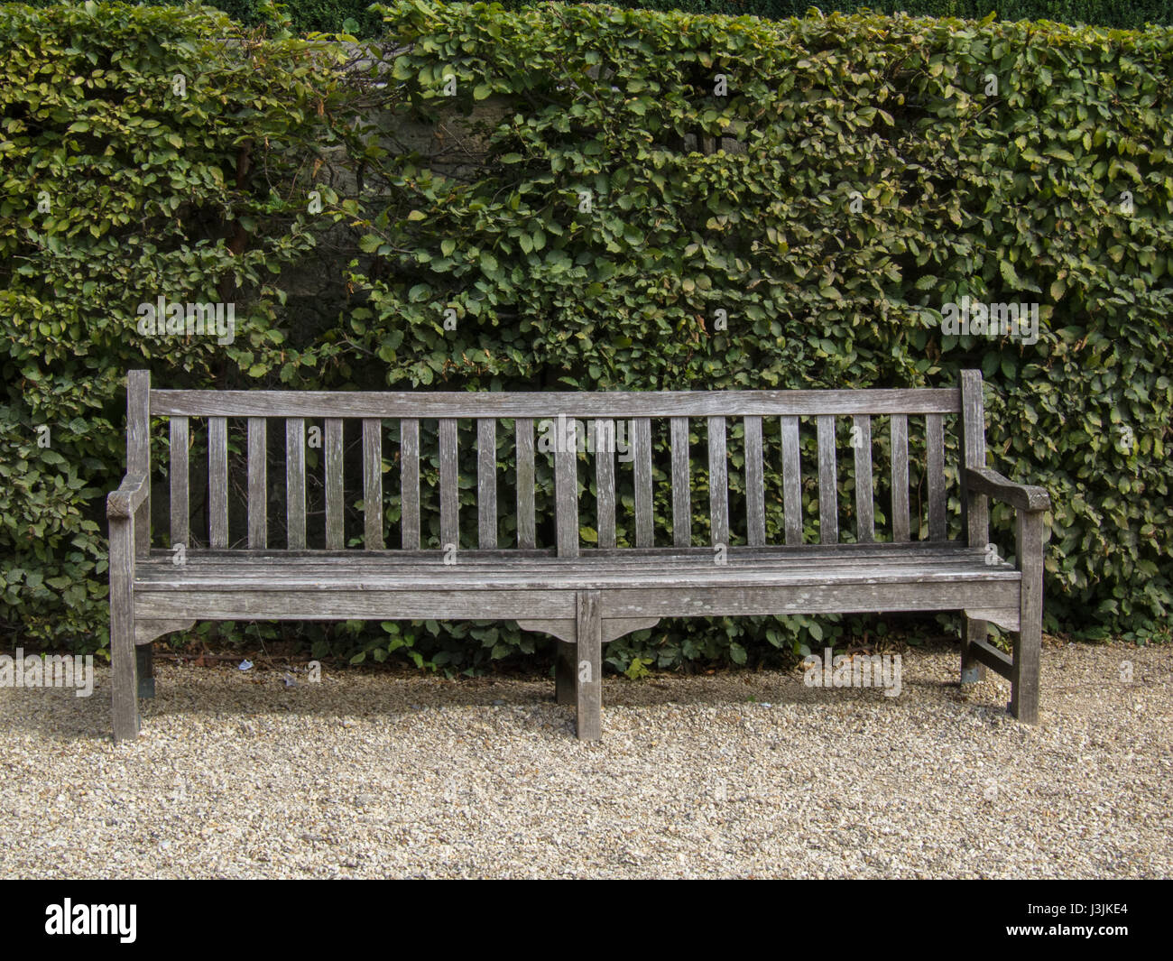 Parco parigino banco con sfondo verde Foto Stock