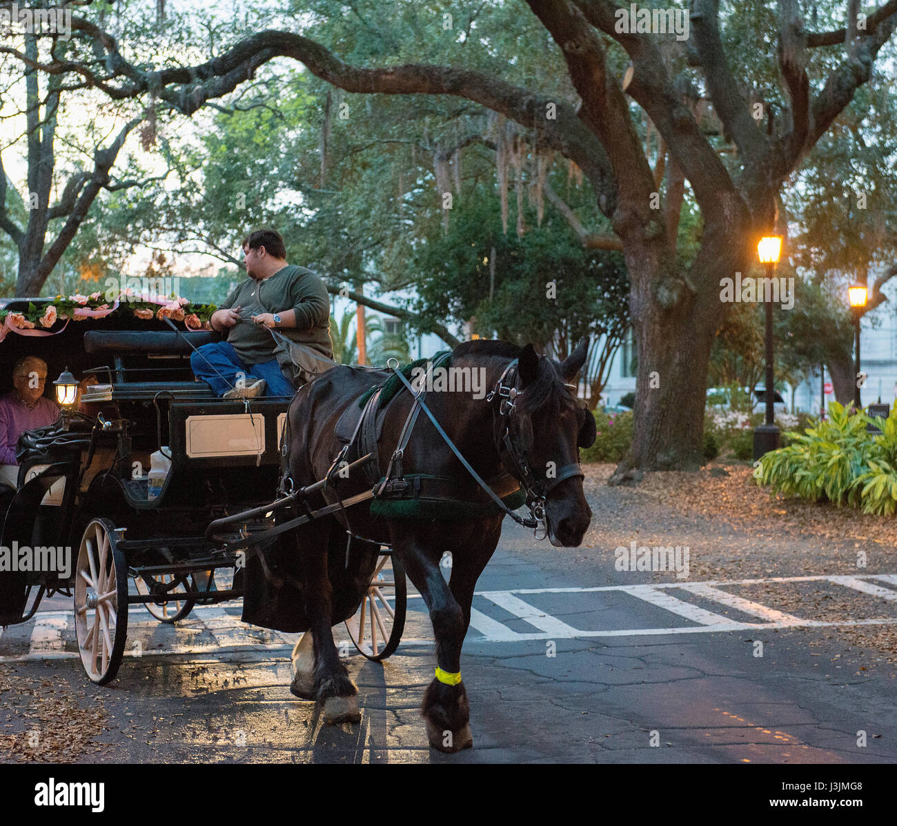 Un cavallo carrello al tramonto a Savannah in Georgia Foto Stock