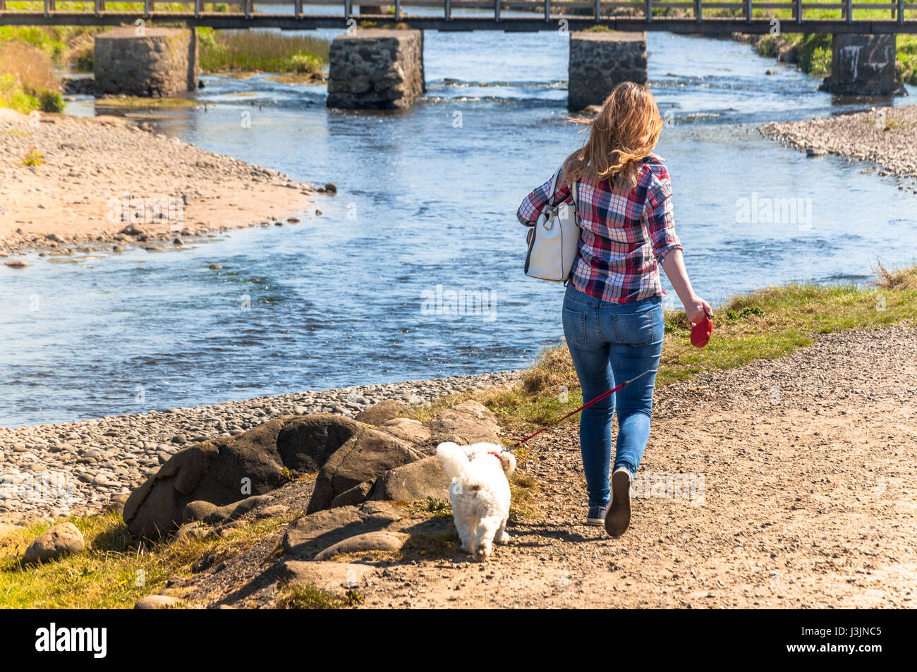 Ragazza camminare con il cane lungo il fiume Foto Stock