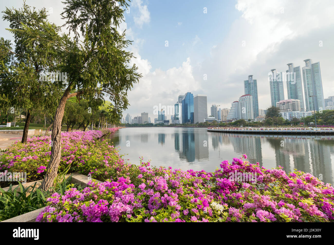 Aiuole in fiore al Benjakiti (Benjakitti) Park e i moderni grattacieli di Bangkok, Tailandia. Foto Stock