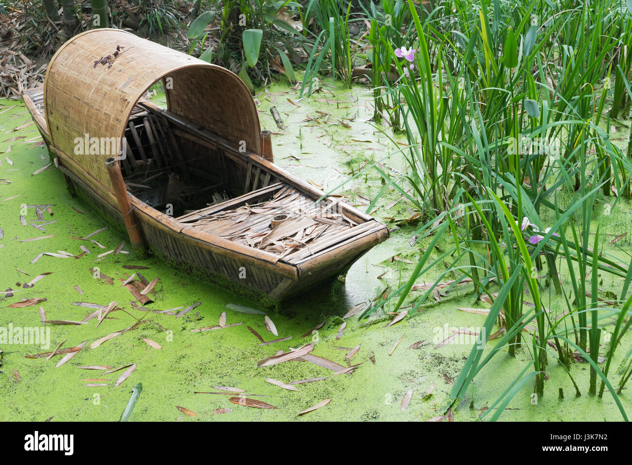 Abbandonato il cinese bamboo barca in acqua verde, Sichuan, in Cina Foto Stock