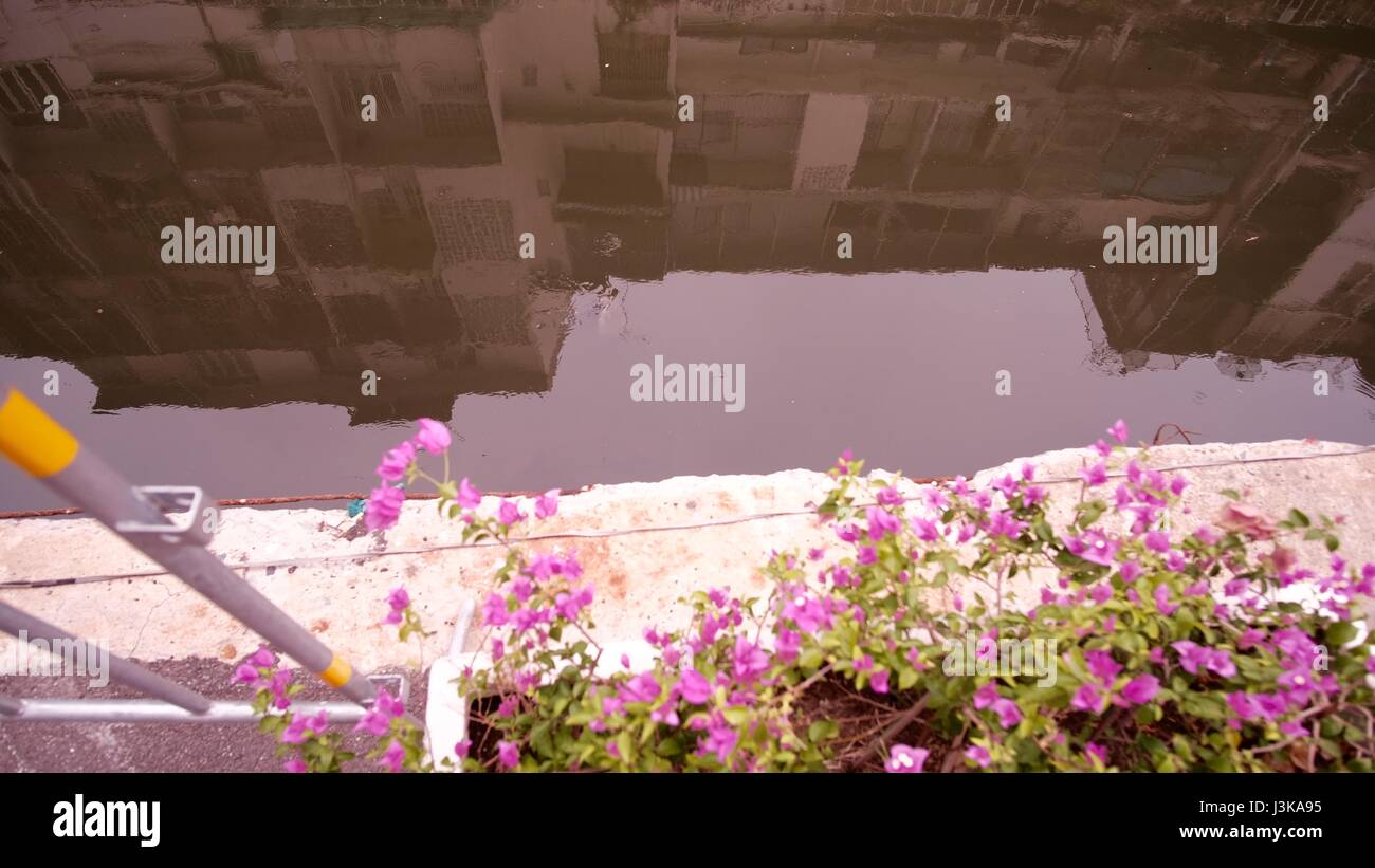 Edilizia Architettura riflesso nell acqua del canale fiori rosa in bianco piantatrice. Cos'è nell'acqua? Foto Stock